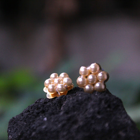 मोत्याचे कुडी - Moti Kudi