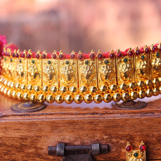 कोयरी वज्रटीक - Koyari Vajrateek