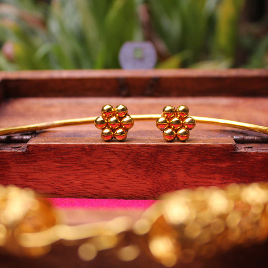 सरी - Soneri Sari